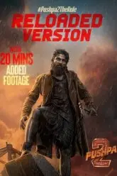Download Pushpa 2: RELOADED (2024) WEB-DL [Hindi ORG 5.1] 1080p 720p & 480p [x264/HEVC] | Full Movie [Pushpa 2: The Rule]