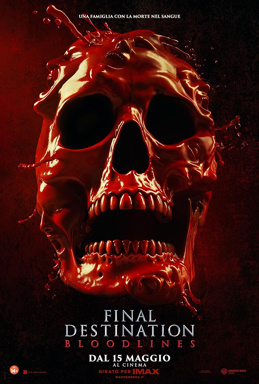Final Destination: Bloodlines (2025) Dual Audio (Hindi DD5.1-English) AMZN WEB-DL 480p [490MB] | 720p [1.1GB] | 1080p [2.3GB] 2160p [10.1GB] 4K SDR #2